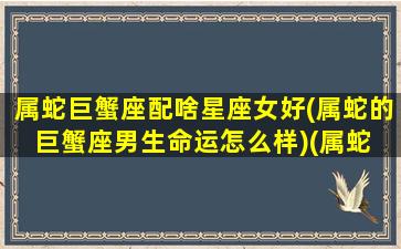 属蛇巨蟹座配啥星座女好(属蛇的巨蟹座男生命运怎么样)(属蛇 巨蟹)